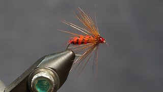 The Red Hackle - from Mary Orvis Marbury’s Favorite Flies and Their Histories, 1892