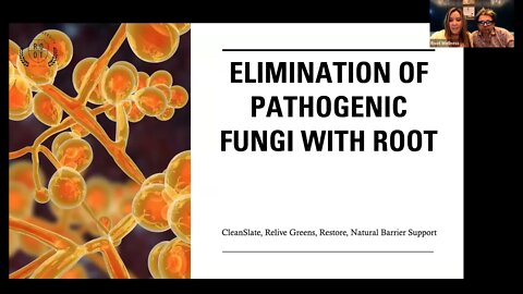 ROOT University: There's a Fungus Among Us! Elimination of Pathogenic Fungi-CleanSlate, Restore, NBS