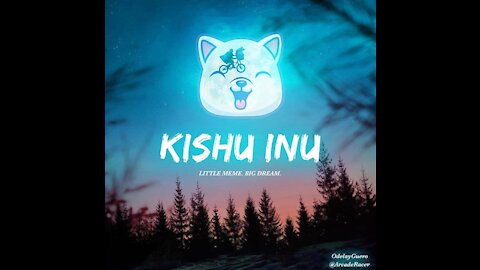 kishu inu