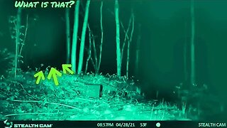 Bigfoot Caught on Cam?