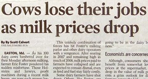 Cows Lose Their Jobs As Milk Prices Drop.