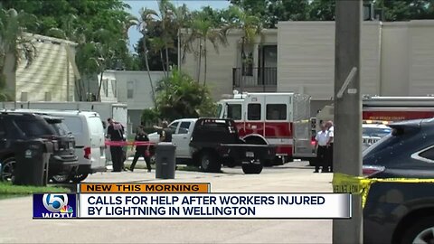 New information about a lightning strike in Wellington