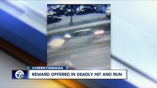 Increased reward for hit-and-run information