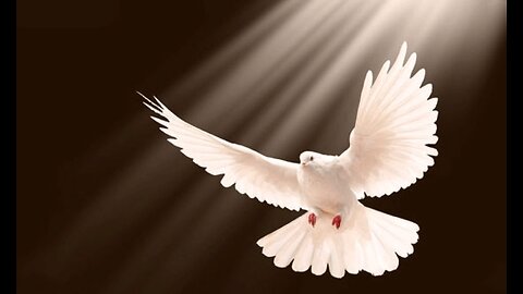 United with the Holy Spirit