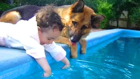 Dog and Baby are Best Friends and Baby Playing with each Other