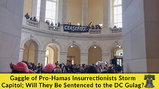 Gaggle of Pro-Hamas Insurrectionists Storm Capitol; Will They Be Sentenced to the DC Gulag?