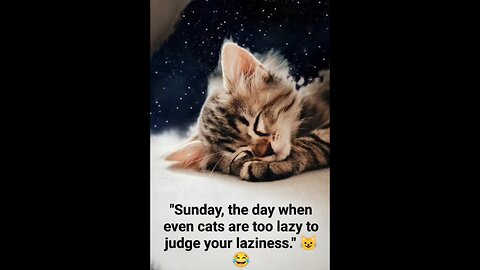 Happy Sunday 😀 😴