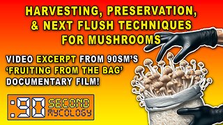 Basic Cubensis Mushroom Harvesting, Preservation, & Next Flush Techniques \\ EXCERPT!