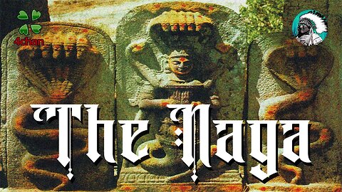 4chan's Fascinating Discussion A Deep Dive into the Esoteric World of Nagas