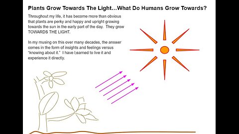 Health Alkemy Insights - Plants Grow Towards Light, What Do Human's Grow Towards?