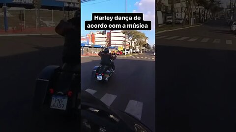 Harley dança de acordo com a Música