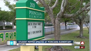 Student reportedly pepper sprayed at elementary school in Collier County