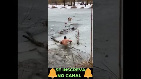 Salvando o Cachorro do Lago de Gelo #shorts