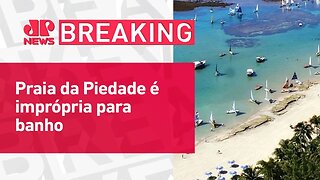 Três vítimas foram atacadas por tubarões em 16 dias em Pernambuco | BREAKING NEWS