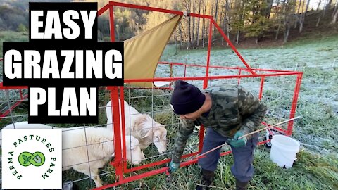 Easy Grazing Plan For Small Acreage