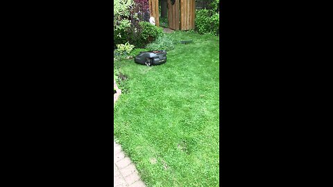 Auto Lawn Mower