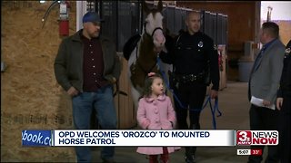 "Orozco" welcomed to mounted horse patrol