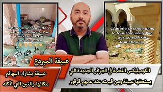 الكومبليكس الفخمة في الجزائر الجديدة التي يستحقها عبيقة ومن قيمته عند عمهم قرقور