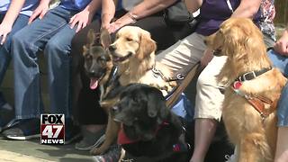 Community's seventh annual blessing of pets