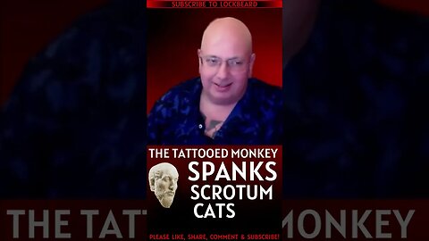 MONKEY SPANKS SCROTUM CATS
