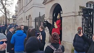 The kings guard steps back quick horse tries to bite #thekingsguard