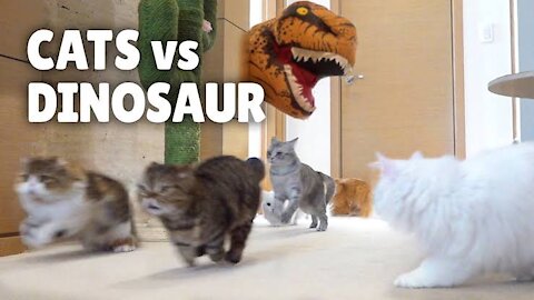 Cats VS Dinosaurus