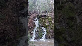 New Years Waterfall #2