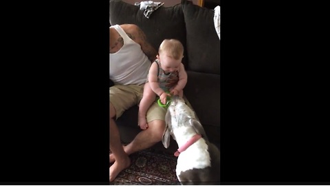 Baby's Hysterical Laughter Is Extremely Contagious