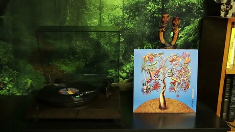 Spoonbill - Canopy (2019) Full Album Vinyl Rip