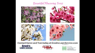 Flowering Trees Boonsboro MD Landscaping Contractor GroshsLawnService.com