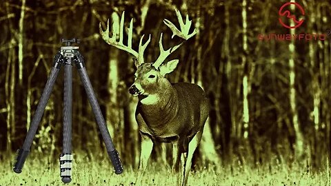 The Best Hunting and Shooting Tripod - Sunway Foto TL3240CS-Q