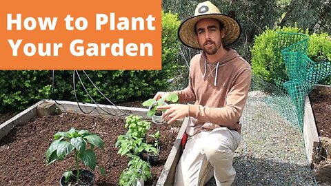 How to Plant Your Garden: Grow Food NOW #2