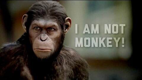 I am not Monkey! || Davis Recapped