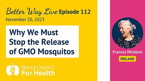 Why We Must Stop the Release of GMO Mosquitos