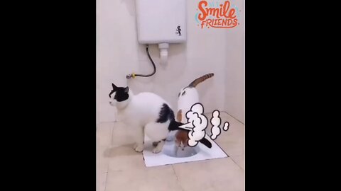 New Funny Videos 2024 😍 Funniest Cats & Dogs Videos🐶😹