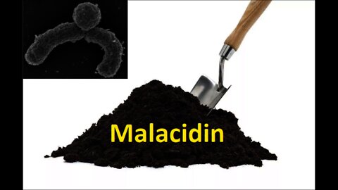 Malacidin, a possible cure for drug resistant diseases