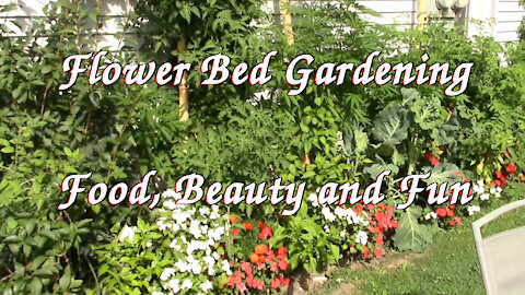 💛⚘🌷💛 Flowerbed Gardening