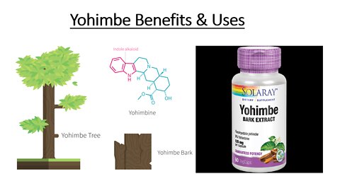 Yohimbe Bark - Yohimbine HCL Benefits, Risks & Side Effects