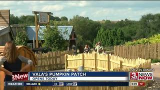 Vala's Pumpkin Patch opens Sept. 15