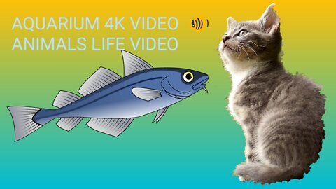Fishing VIDEO (ULTRA HD) 🐠 Animals Life Video
