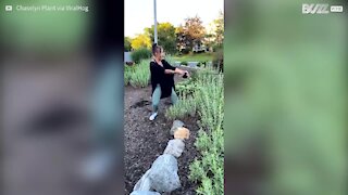 Overenthusiastic dog drags owner into bushes
