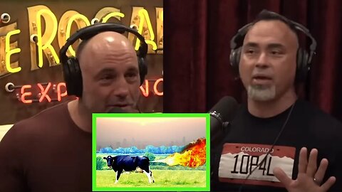 Eddie Bravo and Joe Rogan | Cow Farts | "Dude do you really believe cow farts are melting ice bergs"