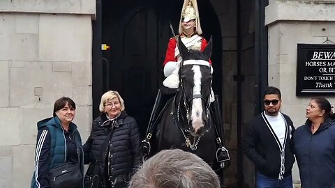 From 0 to 100 MPH WATCH HER RUN 😆 🤣 😂 #horseguardsparade