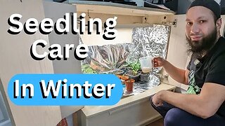 How To Care For Seedlings Over Winter