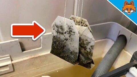 EVERYONE was AMAZED with what i did with 3 Tea Bags 💥 (Suprising) 🤯