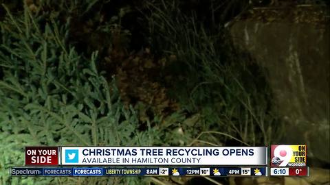 Hamilton County's Christmas tree recycling open next 2 weekends