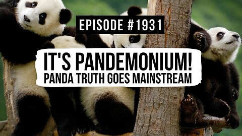 Owen Benjamin | #1931 It's Pandemonium! Panda Truth Goes Mainstream