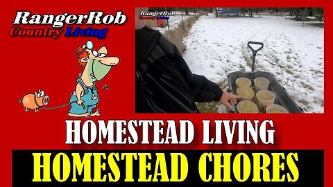 How to Homestead: Chores, Feeding Process, & More!