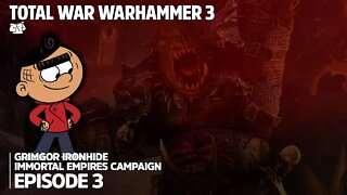 WE RETURN! - Grimgor Ironhide / Immortal Empires - Total War: WARHAMMER III (#3)