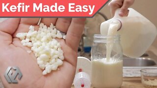 Homemade Kefir | Rebuild Your Gut Microbiome